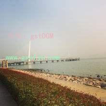 ɹ